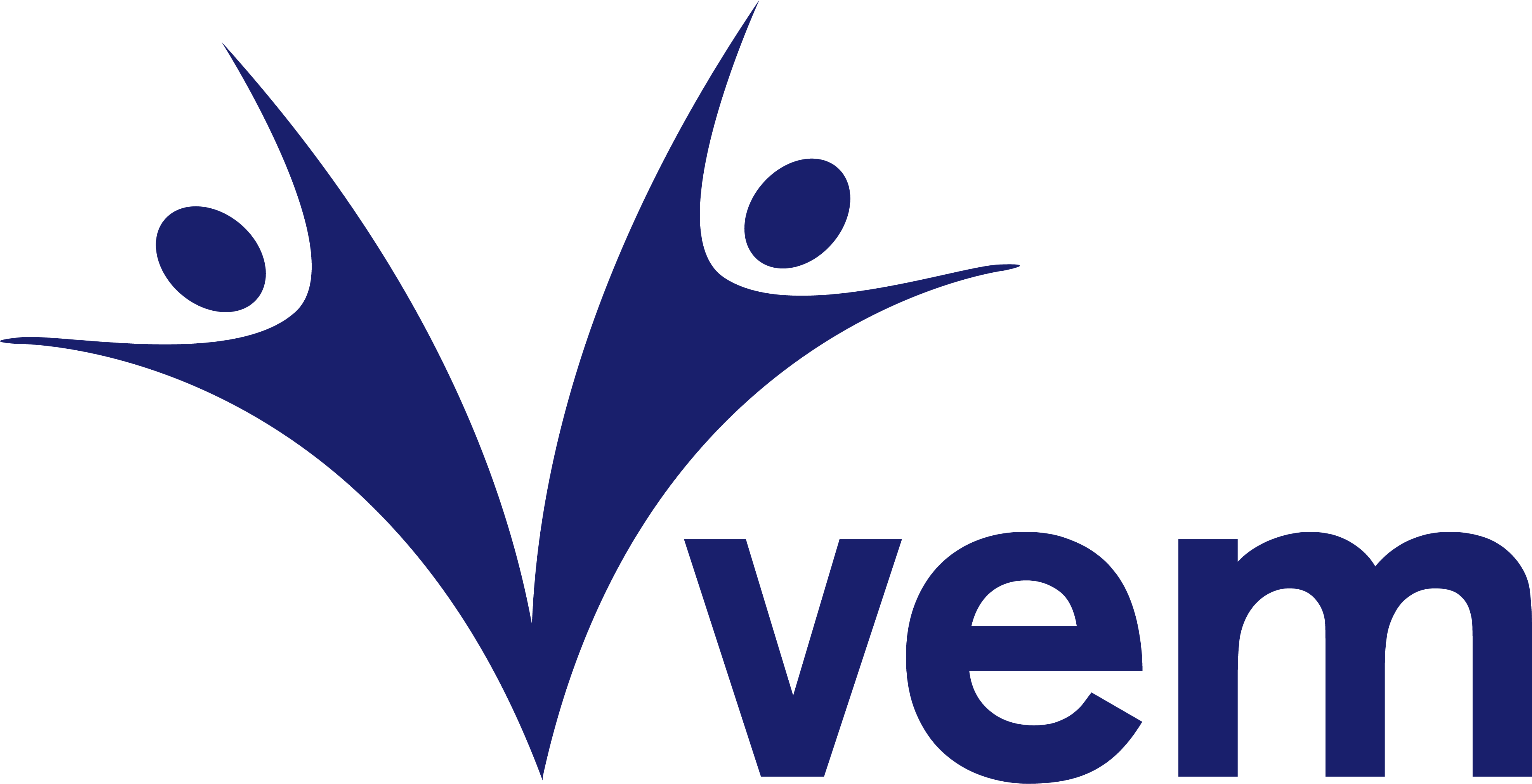 VEM İLAÇ SANAYİ VE TİCARET ANANOİM ŞİRKETİ